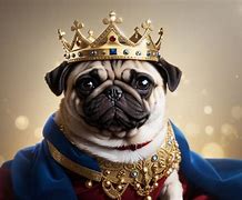 Image result for Snookie the Pug Pug