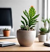 Image result for Book Plant Pot