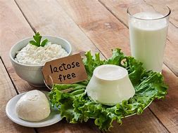 Image result for Goat Milk Lactose