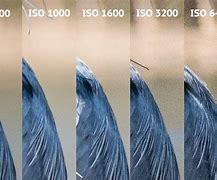 Image result for ISO Macchina Fotografica