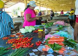 Image result for Shops in Guyana