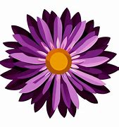 Image result for Aster Cut Flower