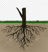 Image result for Roots ClipArt