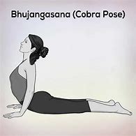 Image result for Bhujangasana Pose