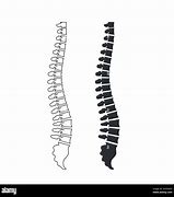 Image result for Human Spine Black and White