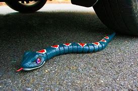 Image result for Snake Vs. Car