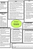 Image result for Hydrocephalus Concept Map