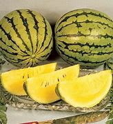 Image result for Yellow Doll Watermelon