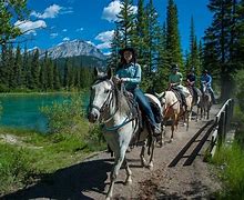 Image result for Banff National Park Tours