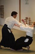 Image result for Gyokushin Aikido