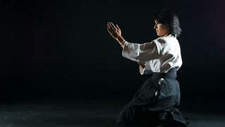 Image result for Image of Aikido