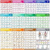 Image result for Biceps Workout Poster