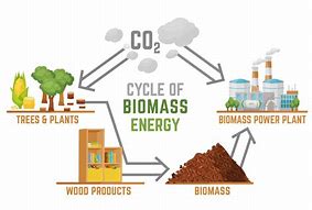 Image result for How Does Biomass Energy Work