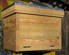 Image result for Long Bee Hive Plans