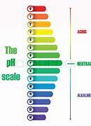 Image result for Light Bulb pH Scale