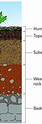 Image result for Soil Layers Drawing