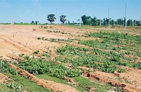 Image result for Arable Island