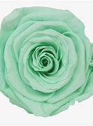 Image result for Mint Green Emoji