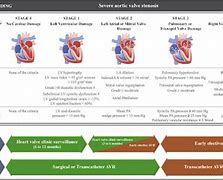 Image result for Aortic Stenosis Severity Table