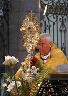 Image result for Eucharist Miracle Multiply