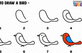 Image result for How Do You Draw a Bird