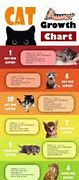 Image result for Cartoon Cat Growth Chart