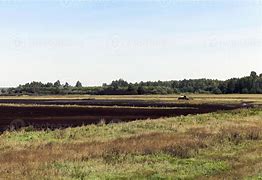 Image result for Peat Extraction