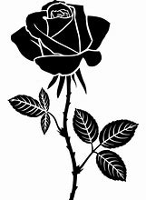 Image result for V for Victory Rose Image