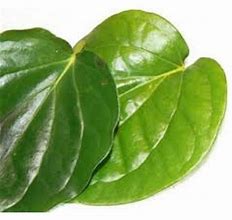 Image result for Pan Leaves