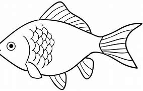 Image result for African Fish with Whisker