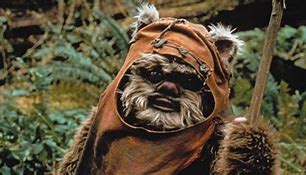 Image result for Star Wars Ewopk