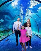 Image result for Aquarium Salon