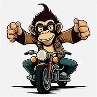 Image result for Monkey Riding Motorcycle