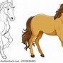 Image result for Best Horse Pics