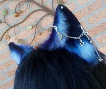 Image result for Wolf Ears and Teeth