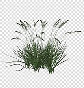 Image result for Free Beach Grass Clip Art