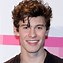 Image result for Shawn Mendes Hairstyle in No Body Knows