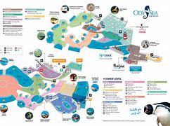 Image result for Odysea Phoenix AZ