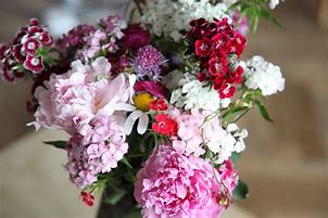 Image result for Summer June Flowers