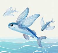 Image result for Flying Fishing