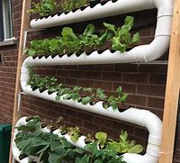 Image result for Hydroponic Watering System