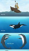 Image result for Killer Whale Titan Meme