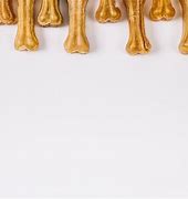 Image result for Chicken Feet Bones