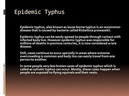 Image result for Epidemic Typhus