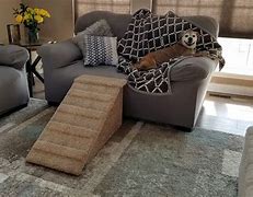 Image result for Dog Cat Ramp