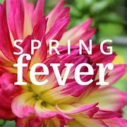 Image result for Rabbit Spring Fever