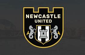 Image result for Newcastle Badge