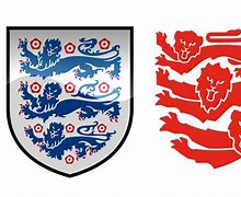 Image result for 3 Lions Badge