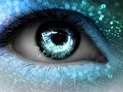 Image result for My Eye in Macro