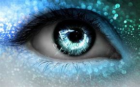 Image result for Macro Eye Photography Blou